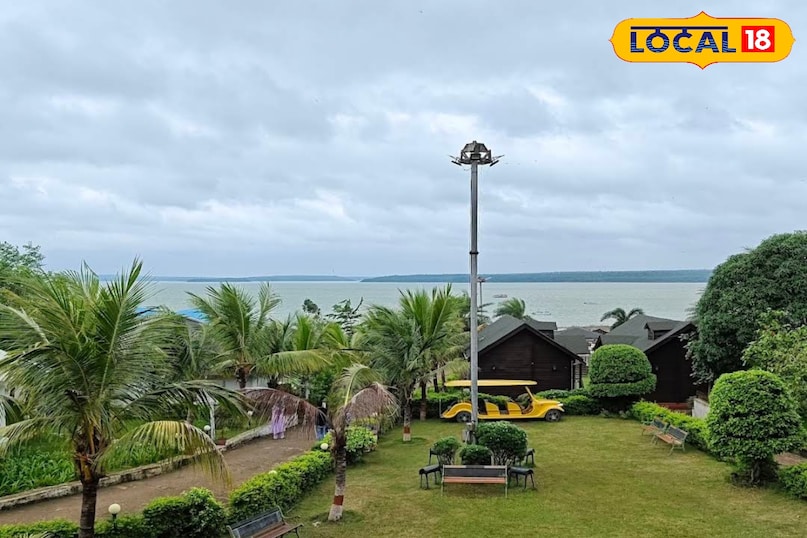 हरियाली नजारा