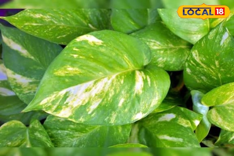 उज्जैन उज्जैन