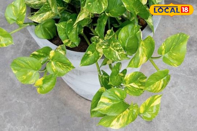 उज्जैन उज्जैन