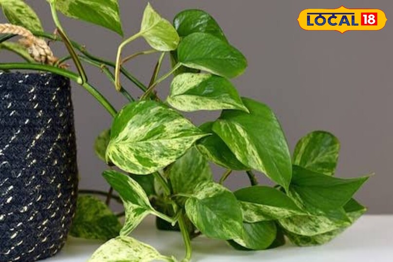 उज्जैन उज्जैन