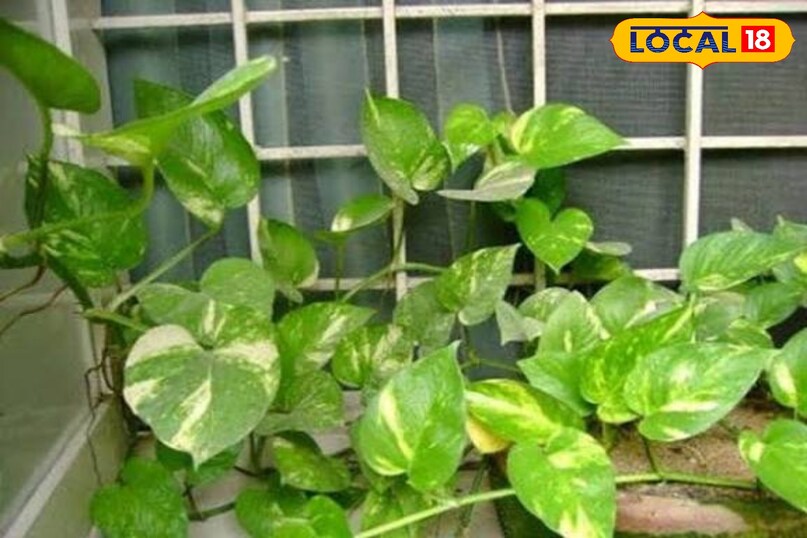 उज्जैन उज्जैन