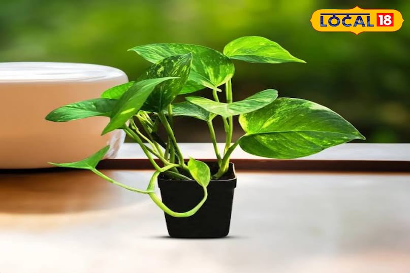 उज्जैन उज्जैन