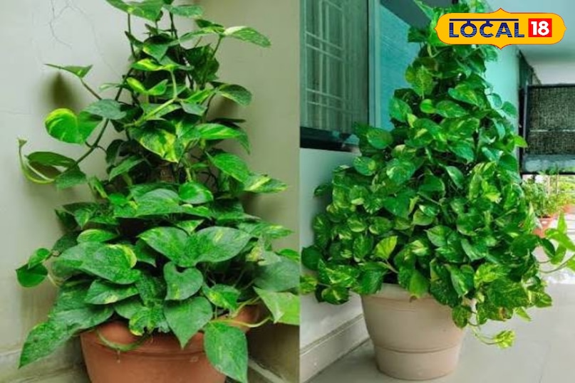 उज्जैन उज्जैन