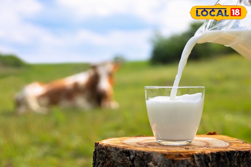 Moradabad news,hindi news,up news,local news, मुरादाबाद समाचार, हिंदी समाचार, यूपी समाचार, लोकल समाचार। Moradabad news,hindi news,up news,local news, मुरादाबाद समाचार, हिंदी समाचार, यूपी समाचार, लोकल समाचार।