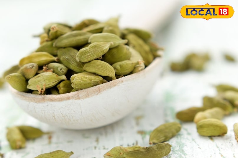 Moradabad news,hindi news,up news,local news, मुरादाबाद समाचार, हिंदी समाचार, यूपी समाचार, लोकल समाचार। Moradabad news,hindi news,up news,local news, मुरादाबाद समाचार, हिंदी समाचार, यूपी समाचार, लोकल समाचार।