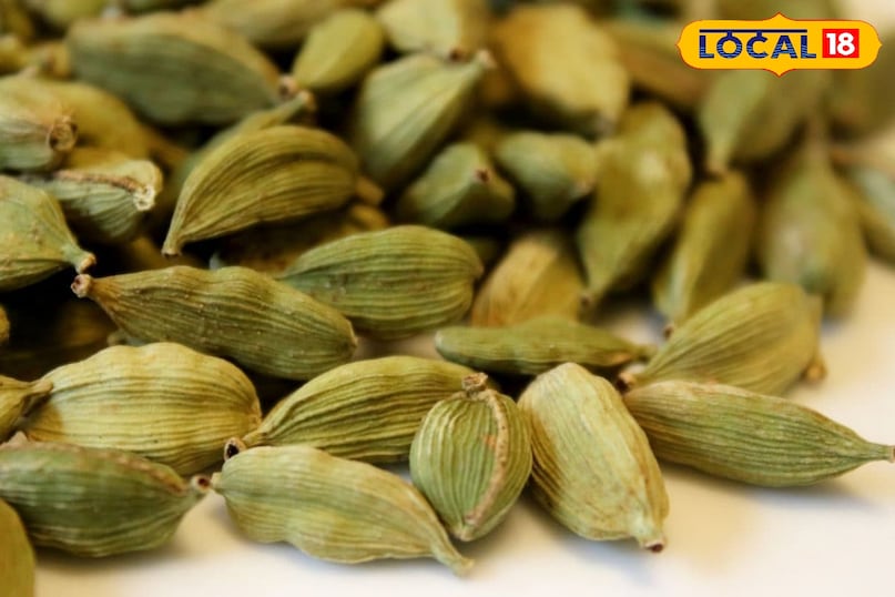 Moradabad news,hindi news,up news,local news, मुरादाबाद समाचार, हिंदी समाचार, यूपी समाचार, लोकल समाचार। Moradabad news,hindi news,up news,local news, मुरादाबाद समाचार, हिंदी समाचार, यूपी समाचार, लोकल समाचार।