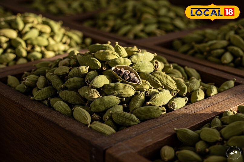 Moradabad news,hindi news,up news,local news, मुरादाबाद समाचार, हिंदी समाचार, यूपी समाचार, लोकल समाचार। Moradabad news,hindi news,up news,local news, मुरादाबाद समाचार, हिंदी समाचार, यूपी समाचार, लोकल समाचार।