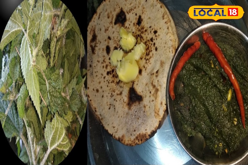 A treasure trove of nutrition – Kandali replenishes iron and calcium A treasure trove of nutrition – Kandali replenishes iron and calcium