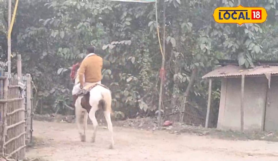 60 की उम्र में घुड़सवारी का शौक पूरा कर रहे हरिकृष्ण यादव,खरीदे जबरदस्त घोड़े