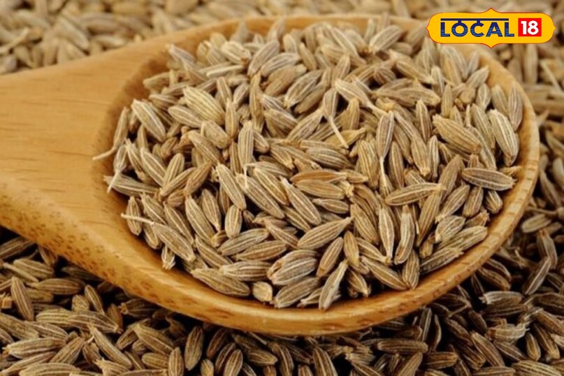 Moradabad news,hindi news,up news,local news, मुरादाबाद समाचार, हिंदी समाचार, यूपी समाचार, लोकल समाचार।