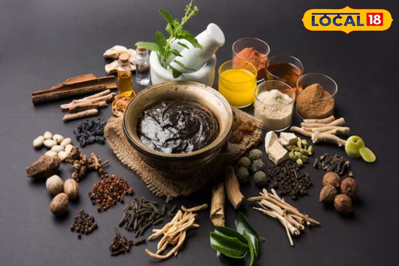 आयुर्वेद के नवरत्न 