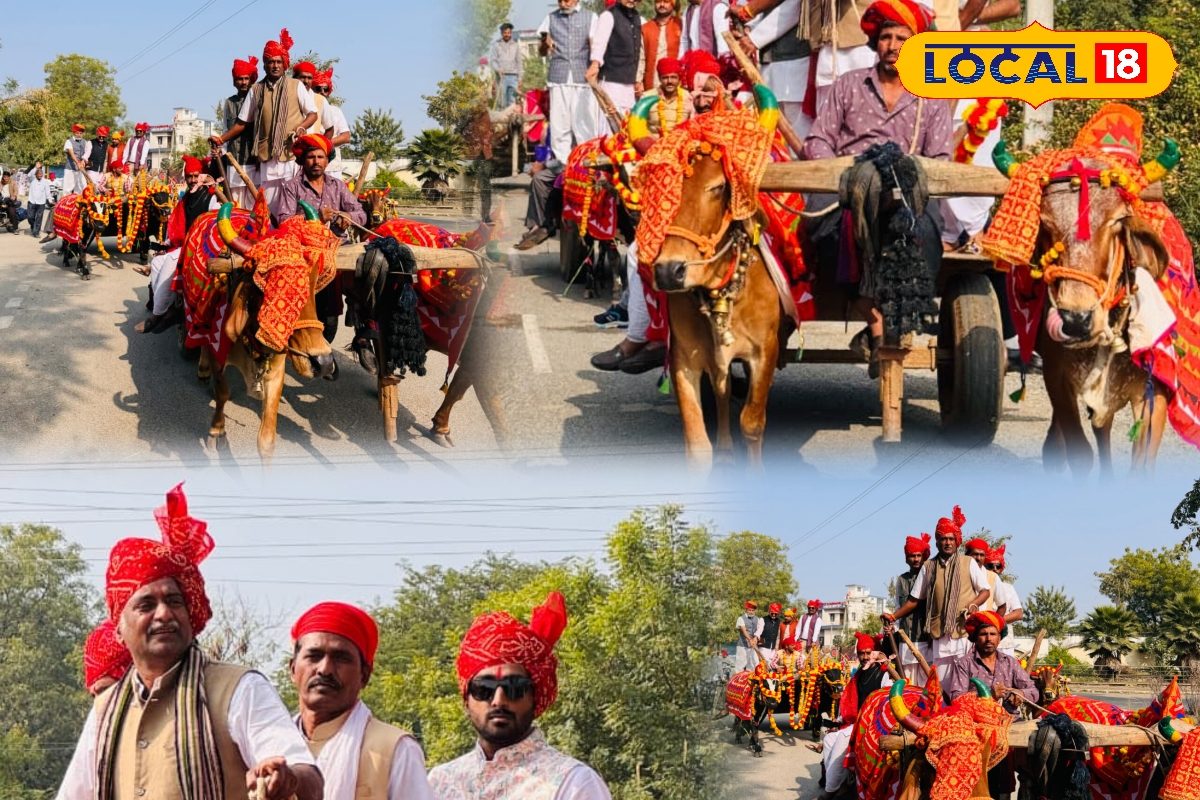 नहीं देखा होगा बैलगाड़ियों का ऐसा काफिला ये वीडियो देखकर रह जाएंगे दंग!