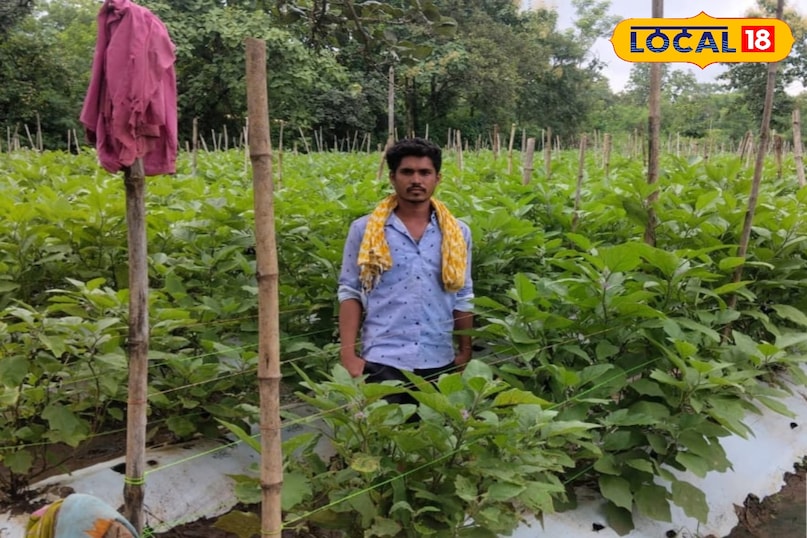 एक एकड़ खेत में 30 हजार पौधों की सफल रोपाई