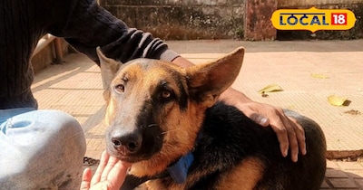 सर्दियों में यह वायरस तेजी से फैलता है.