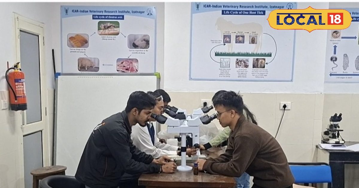 Students studying Animal Science will enjoy excellent placement opportunities. IVRI is accredited by NAAC with an A++ grade, establishing itself as a ‘top educational brand’ in the country. Students studying Animal Science will enjoy excellent placement opportunities. IVRI is accredited by NAAC with an A++ grade, establishing itself as a ‘top educational brand’ in the country.