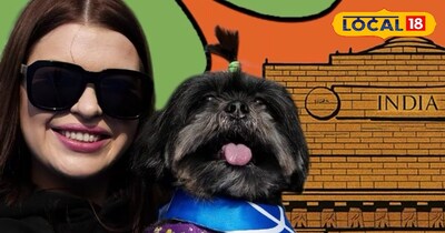 पेटफेड आ रहा है दिल्ली