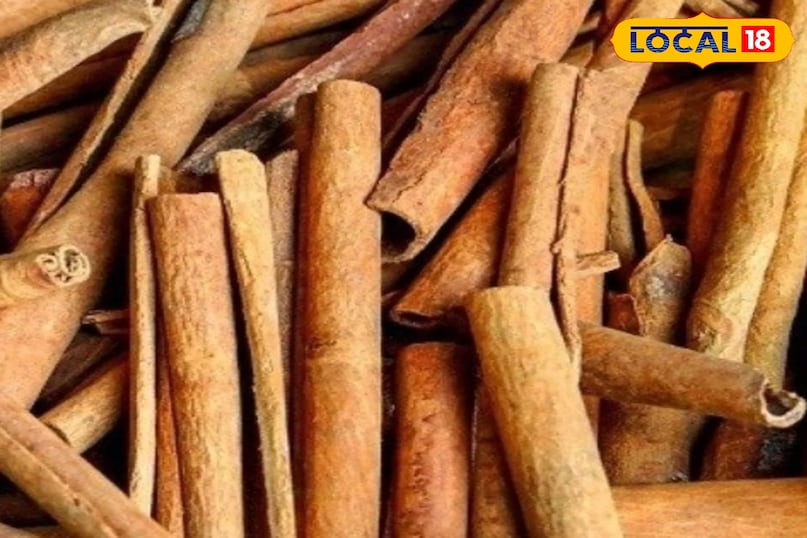 दालचीनी 