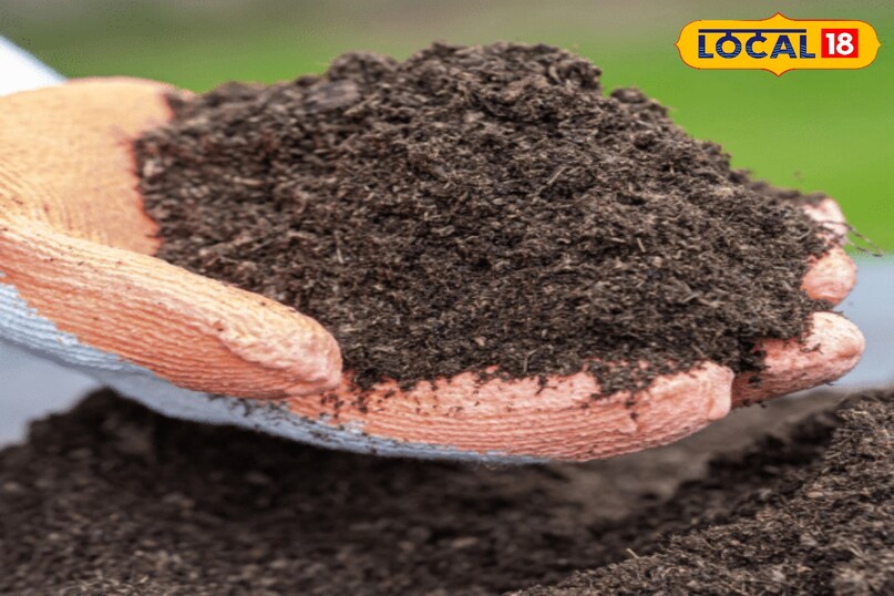 जैविक पदार्थ से भरपूर मिट्टी यह कोई अकेला मिट्टी का प्रकार नहीं है बल्कि एक सुधरी हुई मिट्टी है। किसी भी मिट्टी में पर्याप्त मात्रा में खाद, केंचुआ खाद , या अच्छी तरह से सड़ी हुई गोबर की खाद मिलाने से उसकी गुणवत्ता बहुत बेहतर हो जाती है। जैविक पदार्थ मिट्टी की संरचना, जल निकासी, वायु संचार और पोषक तत्वों को बनाए रखने की क्षमता को बढ़ा देते हैं। यह सभी प्रकार की सब्जियों के लिए सबसे स्वास्थ्यप्रद और उपजाऊ मिट्टी है जैविक पदार्थ से भरपूर मिट्टी यह कोई अकेला मिट्टी का प्रकार नहीं है बल्कि एक सुधरी हुई मिट्टी है। किसी भी मिट्टी में पर्याप्त मात्रा में खाद, केंचुआ खाद , या अच्छी तरह से सड़ी हुई गोबर की खाद मिलाने से उसकी गुणवत्ता बहुत बेहतर हो जाती है। जैविक पदार्थ मिट्टी की संरचना, जल निकासी, वायु संचार और पोषक तत्वों को बनाए रखने की क्षमता को बढ़ा देते हैं। यह सभी प्रकार की सब्जियों के लिए सबसे स्वास्थ्यप्रद और उपजाऊ मिट्टी है