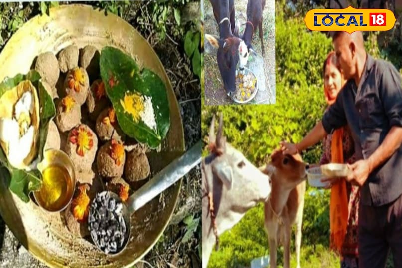 There are strict rules regarding milk and curd in the mountains, why is it considered so sacred?