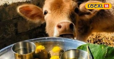 क्या है बौधाण पूजा 