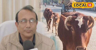 ठंड में बढ़ रहा पशुओं में निमोनिया का खतरा, डॉक्टर ने बताए बचाव के जरूरी उपाय