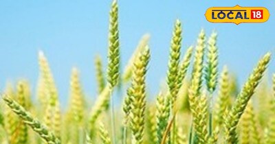 इससे किसानों की इनकम बढ़ेगी.