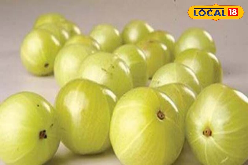 आंवला सेहत के फायदे, सर्दियों का सुपरफूड आंवला, Amla health benefits, Amla uses and benefits, Winter health tips, आंवला कैसे खाएं, local18, khargone letest news, Madhya Pradesh hindi news 