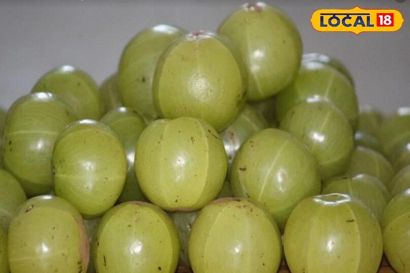 आंवला सेहत के फायदे, सर्दियों का सुपरफूड आंवला, Amla health benefits, Amla uses and benefits, Winter health tips, आंवला कैसे खाएं, local18, khargone letest news, Madhya Pradesh hindi news 