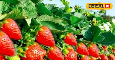 प्रतीकात्मक