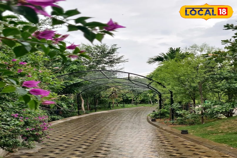 भारत में हर साल लगभग 70 करोड़ टन खेत का कचरा निकलता है। इसका एक चौथाई हिस्सा लोग जला देते हैं जिससे प्रदूषण होता है। अगर इस कचरे को बायोचार बनाया जाए, तो यह मिट्टी के लिए बहुत फायदेमंद होता है। यह मिट्टी में नमी बनाए रखता है पानी की बचत करता है, मिट्टी में जीवन लौटाता है और पौधों को तेज़ी से बढ़ने में मदद करता है। इसे कार्बन को स्टोर करने का एक बेहतरीन तरीका भी माना जाता है।