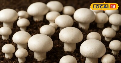 फाइल फोटो