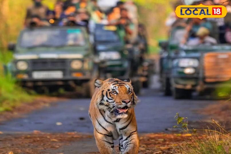 pilibhit tiger reserve