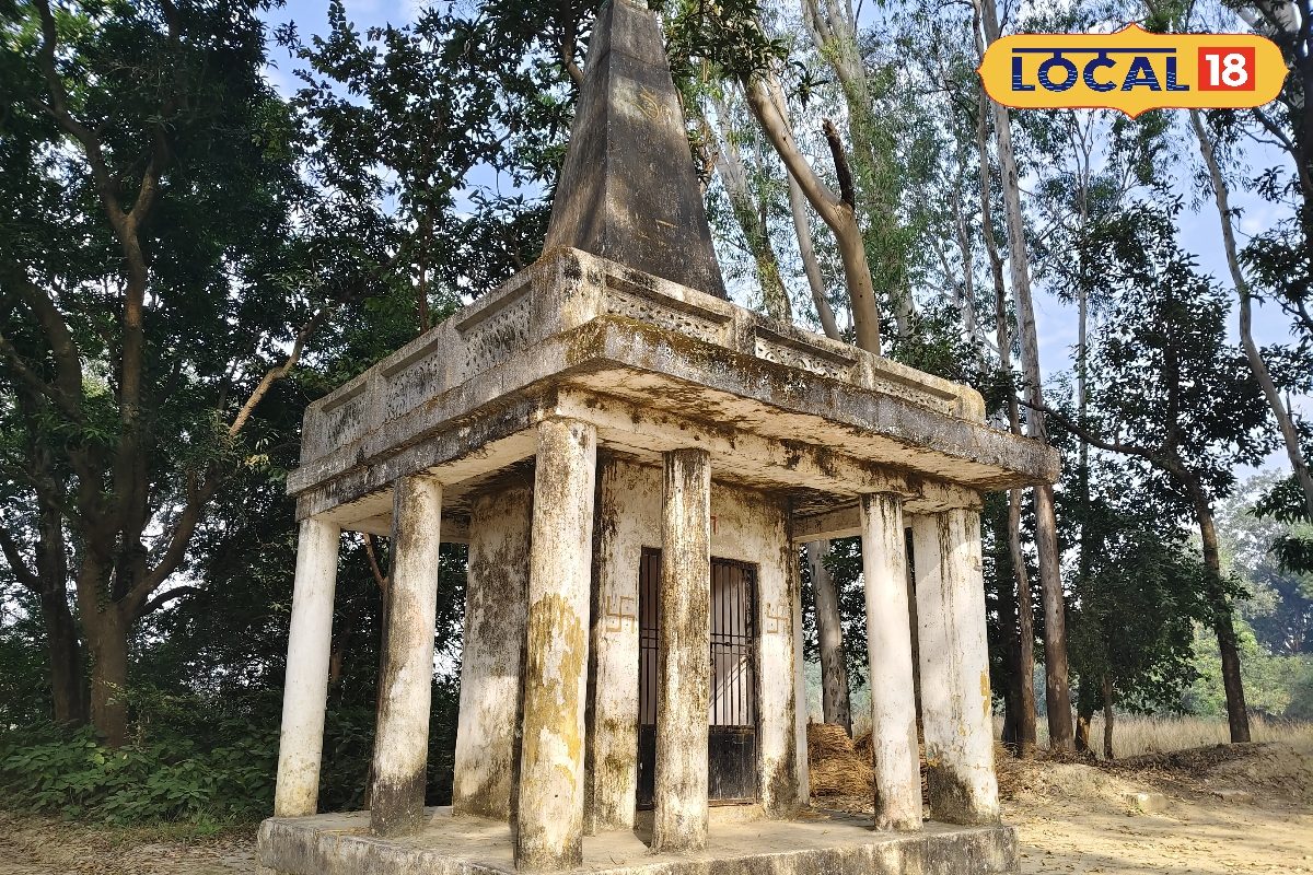 घने जंगलों में बसा नाथू बाबा मंदिर दूल्हे के दर्शन क्यों हैं खास