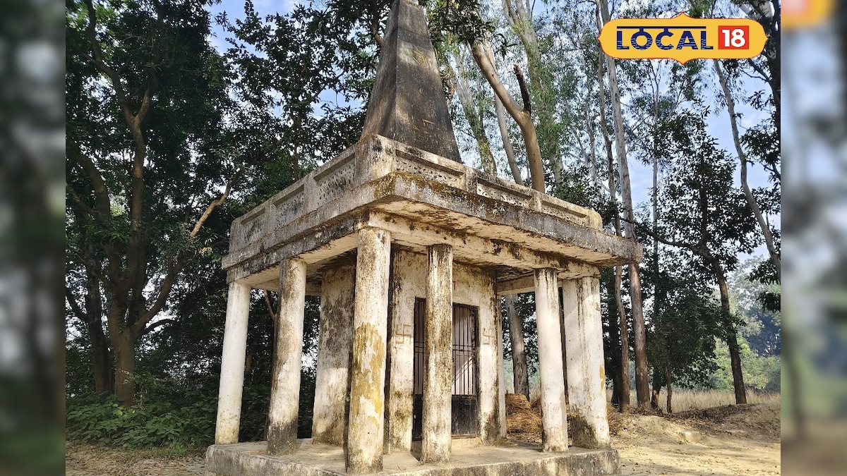 घने जंगलों में बसा नाथू बाबा मंदिर, दूल्हे के दर्शन क्यों हैं खास?