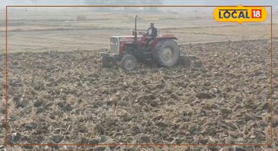 खेत में है नमी तो तुरंत करें ये काम, वरना बढ़ सकता है कीट फफूंद का खतरा 