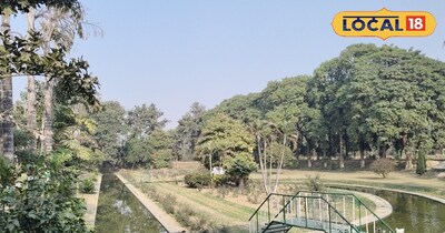 Sultanpur's Amhat Park: Popular Winter Picnic Spot for Families & Nature Lovers