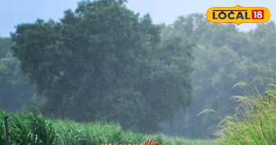 सांकेतिक फोटो.