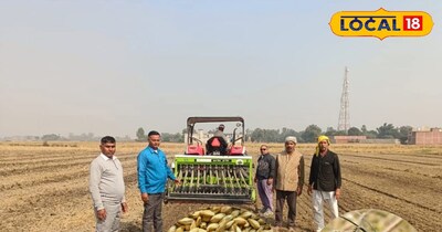 जौ की खेती किसानों के लिए फायदेमंद है.