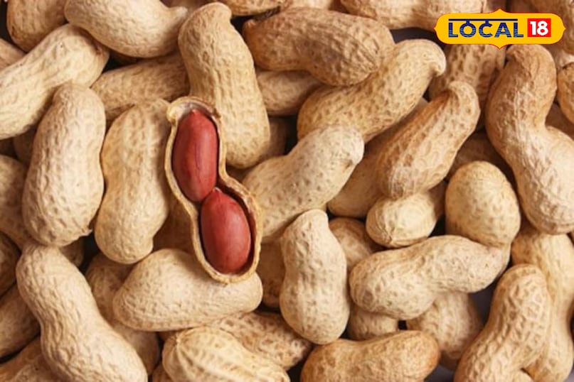 मूंगफली 