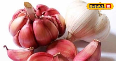 लहसुन के फायदे 