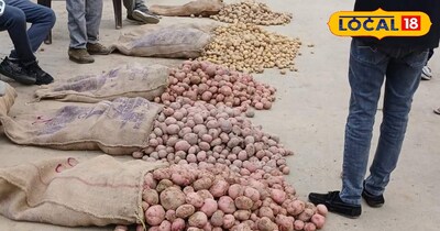 आलू 20 रुपये बिक रहा है.