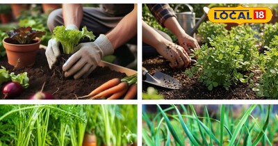 दिसंबर माह में तैयार करें ये सब्जियां 