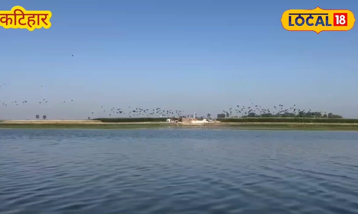 मनिहारी के गोगावील झील को मिला रामसर का दर्जा, इको टूरिज़्म से बढ़ेगा व्यापार