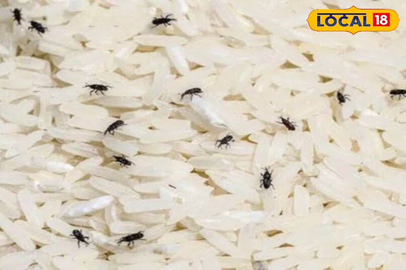 चावल उपचार 