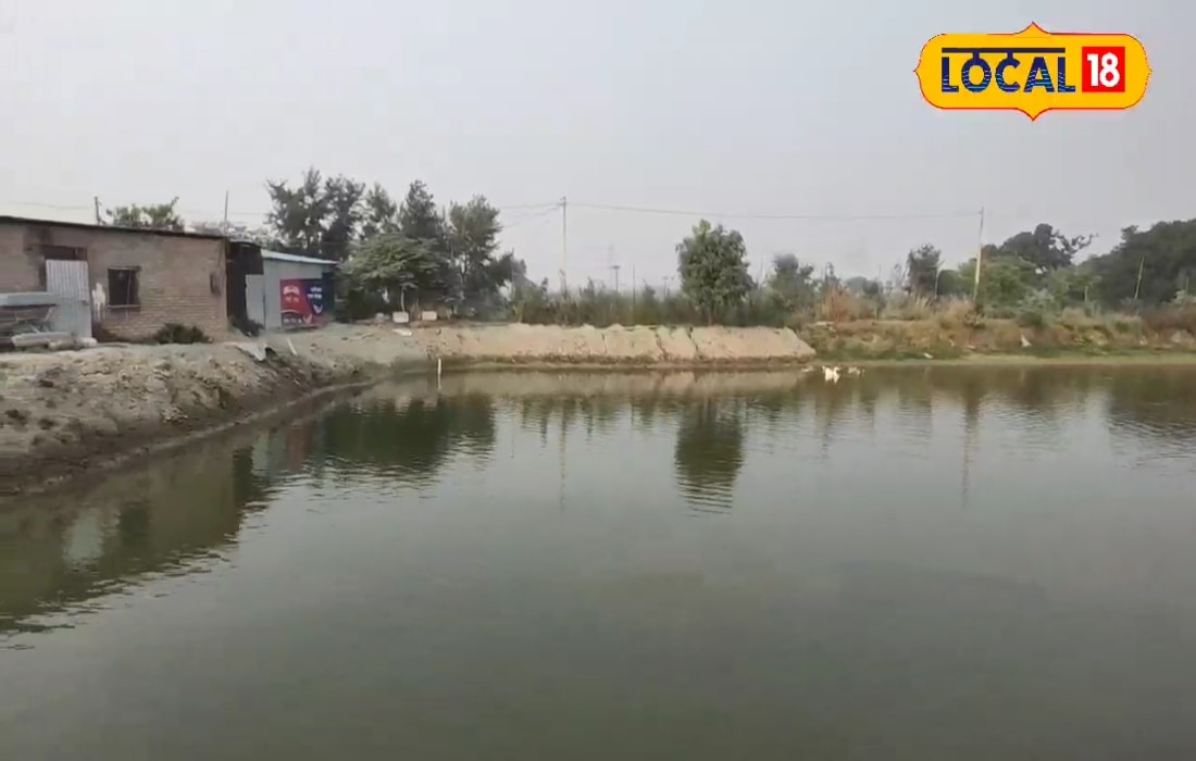 रोहू-कतला पालन का सुपर मॉडल! 5 महीने में मछली तैयार साल में कमाएं लाखों