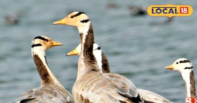 बड़ा ही खूबसूरत है यहां का माहौल