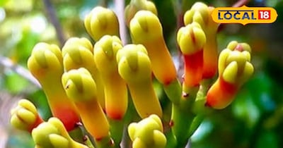 प्रतीकात्मक