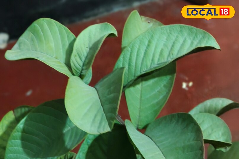 वजन की समस्या 