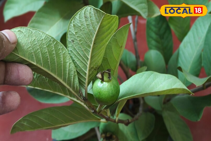 दांत, दिल और मासिक धर्म दर्द