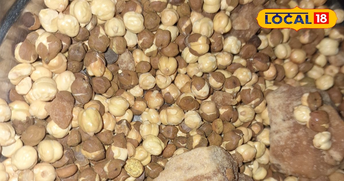 सर्दियों की “सुपरफूड” जोड़ी! गुड़-चना खाने के ये चमत्कारी फायदे जानकर आप भी रोज खाने लगेंगे